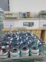 Transformateur toroïdal multi-sorties 110V 220V 380V 24V 50VA 300VA 1000VA 220VAC, transformateur de puissance toroïdal abaisseur de tension industriel
