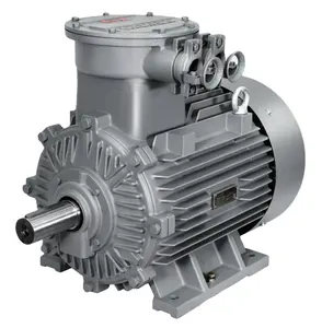 Explosion proof atex high efficiency three-phase asynchronous electric motors