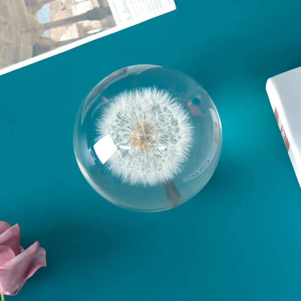 Özelleştirilmiş sörf cam akrilik preslenmiş kurutulmuş çiçek gül paperweight tasarımları karahindiba kağıt ağırlığı