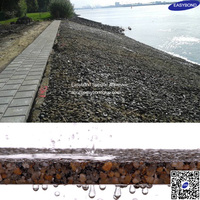 Colle liquide bicomposante en polyuréthane perméable à l'eau Elasto Coast pour la construction, la menuiserie et la protection de la pierre
