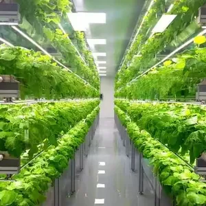 Sistemas de cultivo hidropónico 40 HQ Container para sistemas de cultivo hidropónico de agricultura vertical