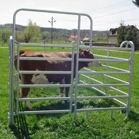 Clôture de bétail galvanisée par barrière de cheval provisoire enduite de poudre résistante