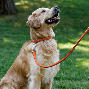 <span class=keywords><strong>Collar</strong></span> de Perro de Cuero Enrollado Nibao, <span class=keywords><strong>Collar</strong></span> Redondo Acolchado Suave para Cachorros, Apto para Todas las Tallas de Perros - Product Image 6