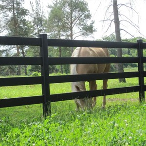Clôture en acier galvanisé noir solide, en métal, pour ranch, à lattes, pour chevaux - Product Image 4