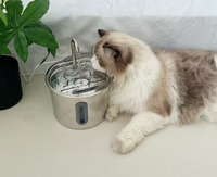 Fontaine à eau pour animaux de compagnie en acier inoxydable 304, vente en gros, OEM, offre spéciale pour chiens et chats