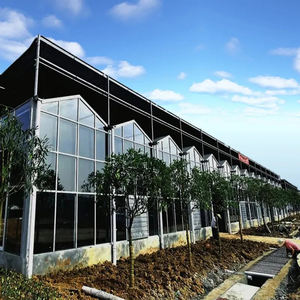 Grande serre en verre multi-chapelles pour tomates, kit avec structure en acier galvanisé à chaud et ventilation continue du toit, pour usage agricole - Product Image 6