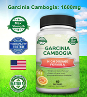 Wellbody Garcinia Cambogia Extrait Minceur Capsules Logo Personnalisé Supplément de Santé pour la Perte de Poids Brûleur de Graisse Régime Vente en Gros