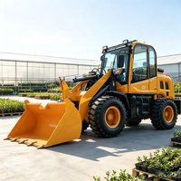 Chargeuse sur pneus multifonctionnelle diesel hydraulique compacte pour l'agriculture et le jardinage, idéale pour le déplacement de terre – Nouveauté en Chine