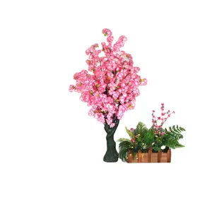 Pohon Sakura Bonsai Pohon Bunga Persik Putih, Dekorasi Pernikahan