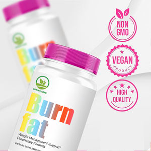 Capsule Brucia Grassi OEM/ODM per il Controllo del Peso e il Metabolismo, Capsule di Fibre Alimentari per Adulti - Product Image 3