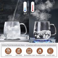 Nouvelle arrivée premium : Tasse infuseur à thé extra épaisse, résistante à la chaleur, compatible lave-vaisselle, transparente comme du cristal, avec filtre à mailles fines amovible