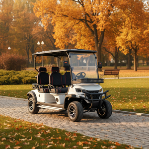 प्रतिस्पर्धी मूल्य अनुकूलित 4 सीटर वयस्कों सड़क कानूनी इलेक्ट्रिक कार्ट गोल्फ बुगी गोल्फ कोर्स के लिए तह बैकसीट के साथ - Product Image 3