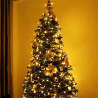 Guirlande lumineuse en cuivre à 100 LED, 10M, blanc chaud, décoration de Noël, de mariage, de fête, pour l'intérieur