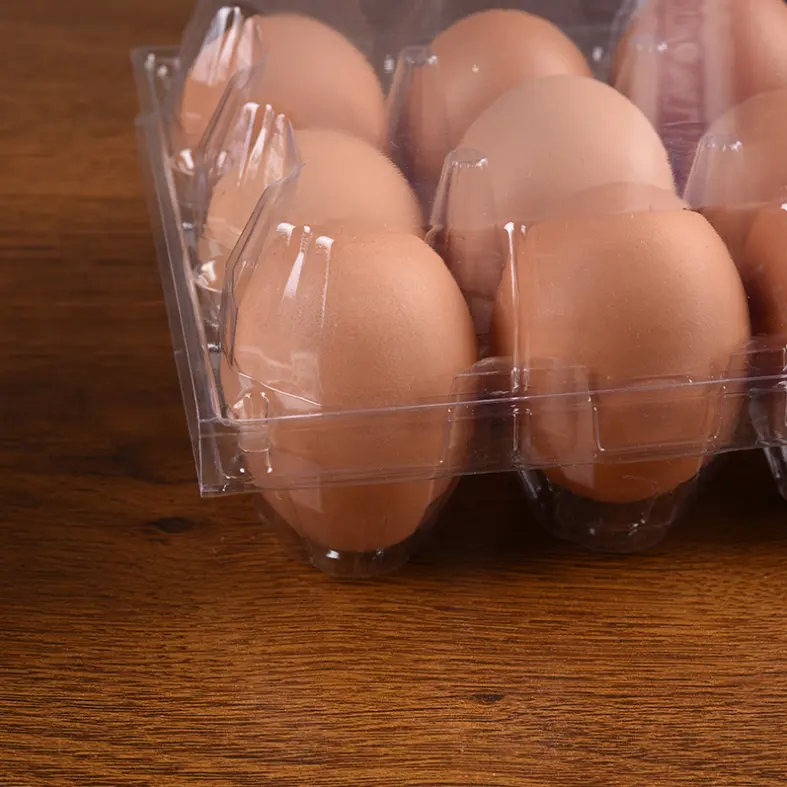 6 plastic egg tray for sale