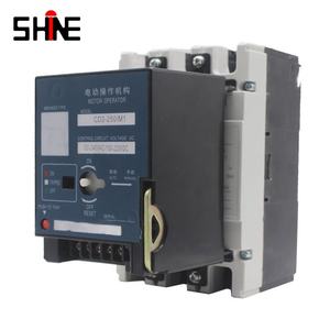 高品质正泰MCCB断路器2极250A 125A 250V用于工业变压器 - Product Image 2