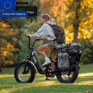 <span class=keywords><strong>Vélo</strong></span> <span class=keywords><strong>cargo</strong></span> <span class=keywords><strong>électrique</strong></span> en stock au Royaume-Uni, 250w 750w 1000w, pour usage urbain et familial, avec 2-3 sièges pour enfants et animaux de compagnie - Product Image 1
