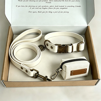 Collier en cuir personnalisé de luxe pour animaux de compagnie, sans traction, pour chat et chien, nouveau design, vente en gros, avec logo sur mesure 2026