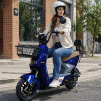 Vélo électrique de ville puissant en promotion avec pneus tout-terrain durables de 14 pouces et frein hydraulique