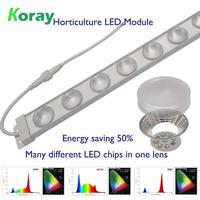 Barre de culture LED à spectre complet Koray GW45 avec lentille optique, lampe de culture modulaire étanche pour culture verticale en rack
