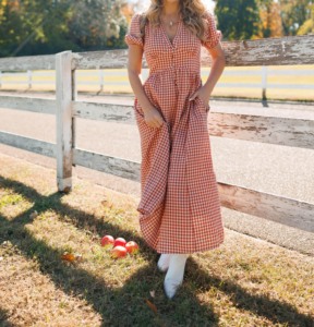 Women's <strong>Red</strong> White <strong>Gingham</strong> v Neck Puff Sleeve High Waist Maxi Dress for Vocation or Daily Wear - Product Image 4