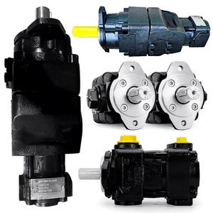 Bucher QX31/QX41/QX51/QX61 Double Pump Hydraulic Internal Gear Pump for Die-Casting Machine - Product Image 1