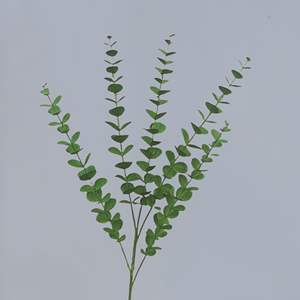 Mori Monai Garden's Green Eucalyptus and Asparagus Ponkleisson Wedding Flores artificiales al por mayor - Product Image 6