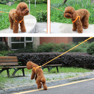 Tali payudara nilon LED, dapat diatur <span class=keywords><strong>Harness</strong></span> anjing tidak tarik kecil sedang bersinar aksesoris keselamatan malam anjing peliharaan - Product Image 6