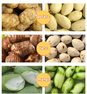 آلة غسل وتقشير البطاطس الأكثر مبيعًا، آلة تقطيع وتقشير البطاطا والقلقاس، آلة تنظيف وتقطيع البطاطس والجزر - Product Image 4