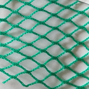 Filet à Poissons Vert de Haute Qualité Durable en PE 10 Plis 2.0 CM pour la Culture des Poissons - Product Image 1