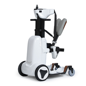 Manual Assisted Standing Lift Wheelchair Equipment Standing Up Electric Power Wheelchair For Disabled/handicapped
