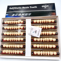 Dents en Résine Acrylique Dentaire Multicouches OEM pour Prothèses Dentaires