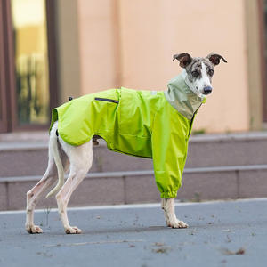 Veste de pluie pour chien de luxe, écologique, toutes saisons, imperméable, imperméable pour chien de race Bassotto, Wiener, Teckel, vêtements pour chien de race Hamburg - Product Image 4