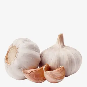 Hot Sale Seasoned Mashed Garlic for cook Garlic Paste