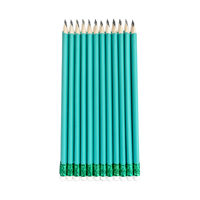 FLOWood – Lot de 12 crayons HB avec gomme, mine résistante aux cassures, crayons en graphite personnalisés pour enfants, école, bureau, papeterie en gros