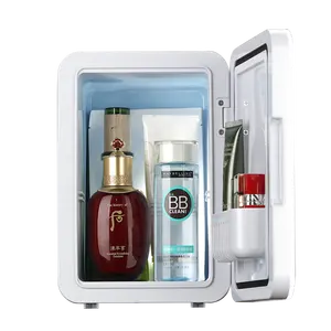 6L Mini frigo cosmetici Make up Mini frigo per la cura della pelle e cosmetici