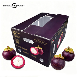 Caja de Almacenamiento Plegable de PP Resistente y Personalizada para Mangostán, Contenedor Ventilado para Frutas Frescas, <span class=keywords><strong>Sinocoroplast</strong></span> - Product Image 2