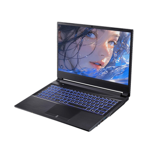 High Quality 15.6 Inch Laptop I7-11800H 4.6 GHZ RTX 3060 Computer Gaming IPS Panel Aluminum Alloy Case Gaming Laptop