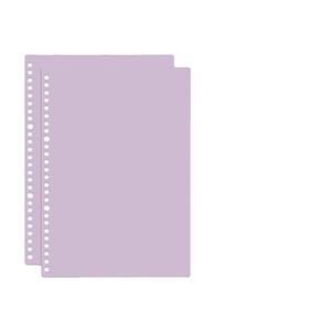 B5 formato bobina a mano a fogli mobili Notebook stampato cancelleria ufficio per studenti con linee orizzontali PP carta copertina diario regalo - Product Image 5