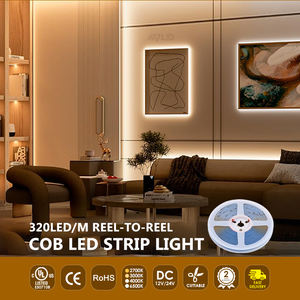 Tira de Luz LED COB Lineal de 320 LED, 8 mm, Impermeable IP65, Iluminación Uniforme, Alto CRI90, 12V 24V, Tira LED Comercial para Exteriores - Product Image 6