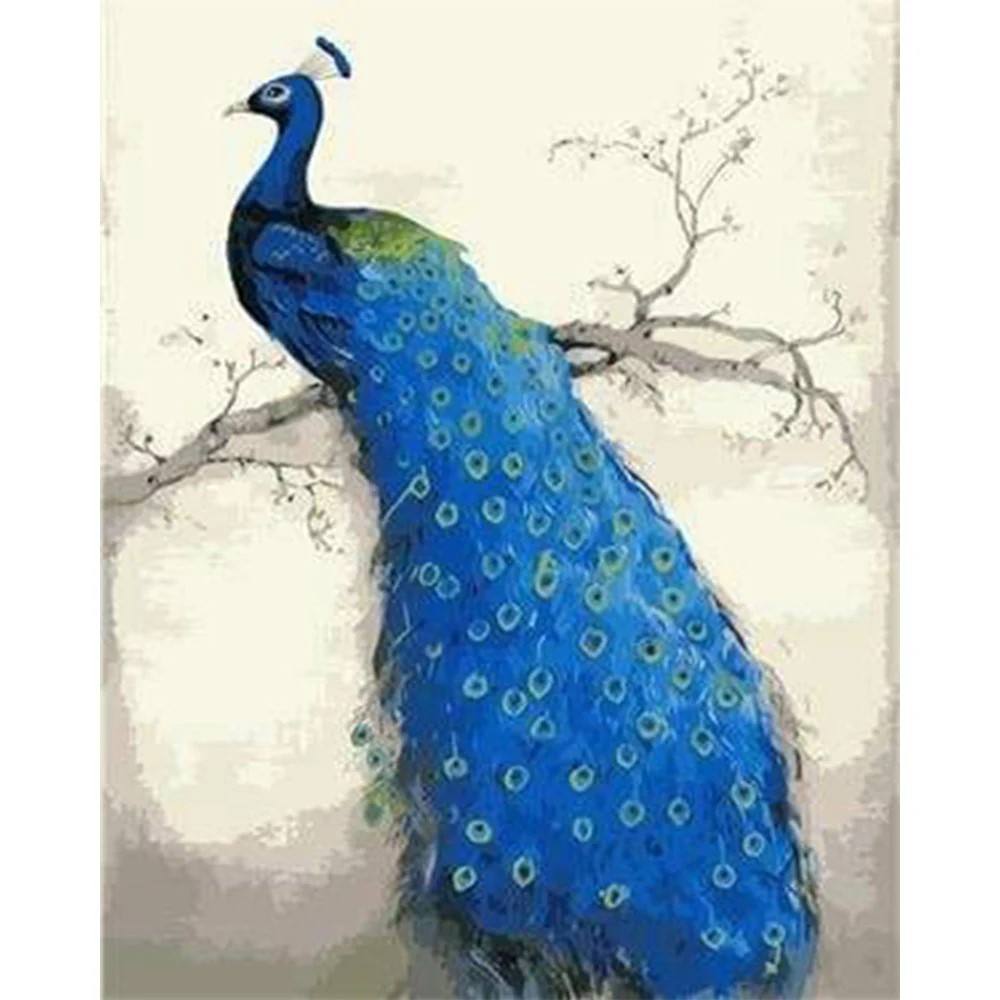 Blue Peacock