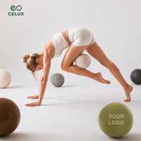 Ensemble d'accessoires de poids réglables pour chevilles et poignets, couleur personnalisable, pour la maison, la gym, le fitness, le yoga, le Pilates, avec Power Ring, tapis de yoga et logo personnalisé