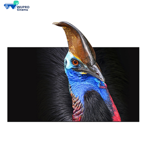 2023 nouveau Design Wupro 120 pouces écran de projecteur PET CBSP CLR cristal 4K plein film <span class=keywords><strong>3D</strong></span> ALR écran de Projection - Product Image 1