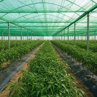 Kassen schaduwnet voor courgette teelt, landbouw schaduwdoek HDPE UV-werend schaduwnet