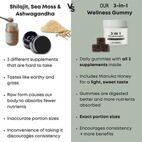 Gummies de bien-être 3-en-1 aux herbes naturelles pour le dropshipping – Bonbons pour adultes infusés au Shilajit pour un regain de vitalité quotidien