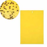 Seare 2025 Vente Chaude 25*40cm Collant Piège À Mouches Papier Jaune Pièges Mouches À Fruits Insecte Colle Catcher