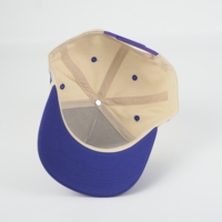 5-delige gestructureerde baseballcap groothandel handborduurwerk fruitmotief off-white kroon 100% katoenen velours gestreept tweekleurig