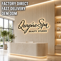 Enseigne lumineuse pour salon de beauté, logo personnalisé, lettres 3D LED, miroir acrylique, éclairage mural pour spa, enseigne LED personnalisée