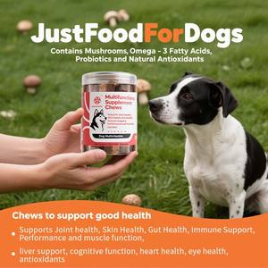 10-em 1 suplemento multifuncional mastiga para cães, glucosamina, ácidos graxos ômega-3, saúde das articulações, probióticos, multivitaminas cão - Product Image 2