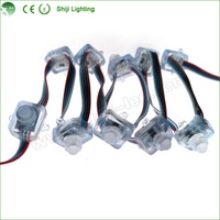 Lampu Pixel LED RGB Addressable 12mm Persegi SJ-2618-DMX IP66 50pcs/Rantai Modul Pixel LED Luar Ruangan PVC Taman Hiburan Liburan