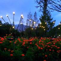 Lumière solaire de jardin IP68 en PVC, effet luciole, pour fêtes et mariages, 6, 8 ou 10 LED avec contrôle par application, CRI 90, blanc chaud